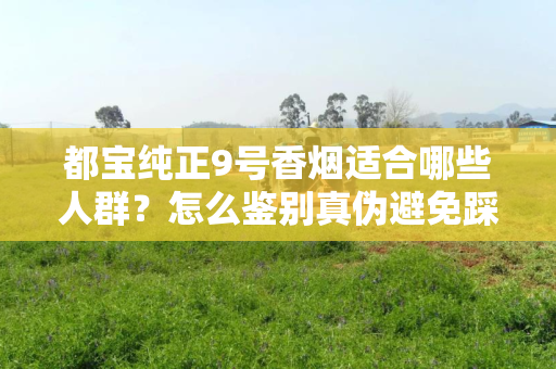 都宝纯正9号香烟适合哪些人群？怎么鉴别真伪避免踩坑？
